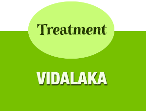 Vidalaka